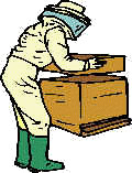 beeman.jpg (5452 bytes)